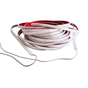 LED Stripes ab IP44 bei Elektrotechnik Dreyße in Herbsleben